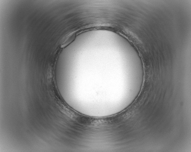 X0000074301169200609222327