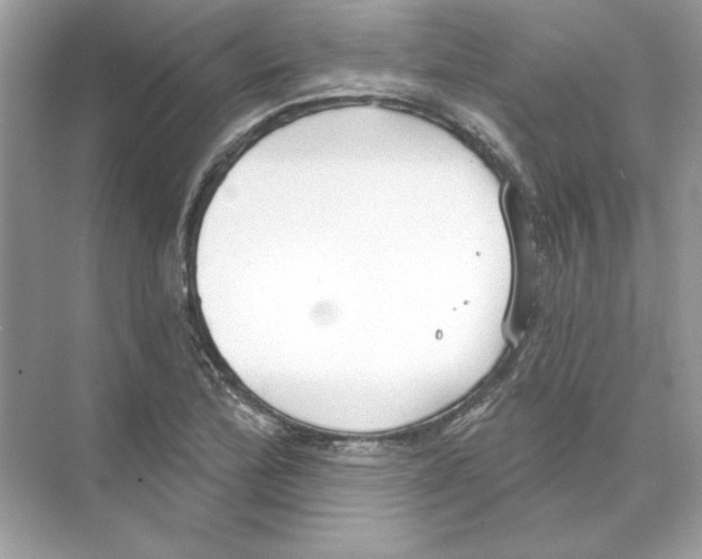 X0000074301172200609222327