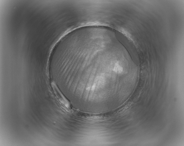 X0000074301173200609222327