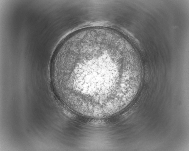 X0000074301174200609222327