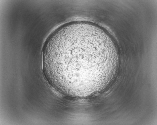 X0000074301175200609222327