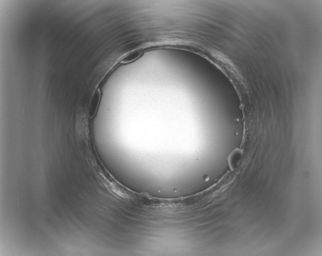 X0000074301177200609222327