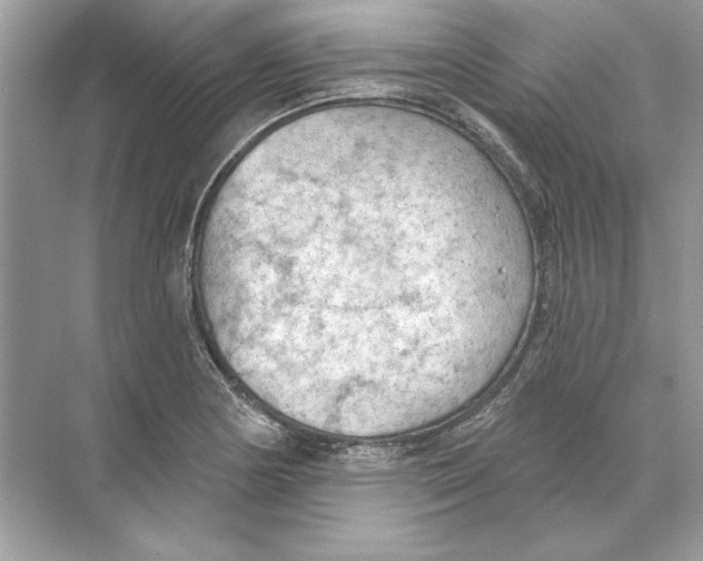 X0000074301178200609222327