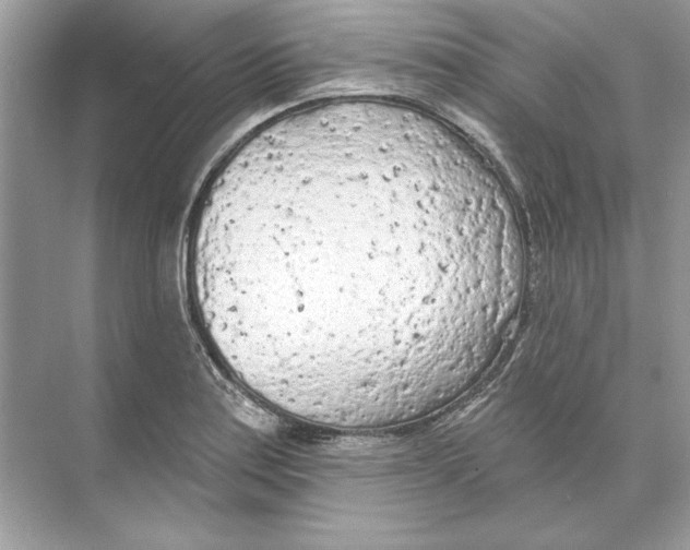 X0000074301179200609222327