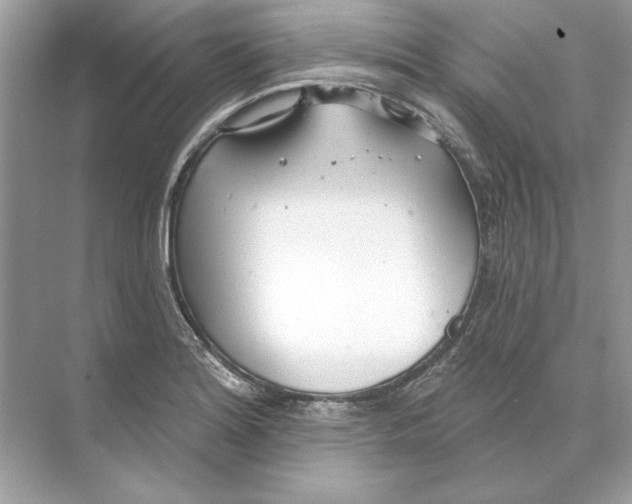 X0000074301180200609222327