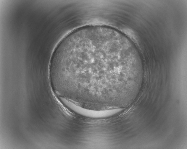 X0000074301183200609222327