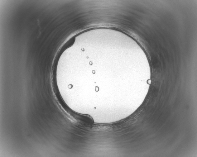 X0000074301187200609222327