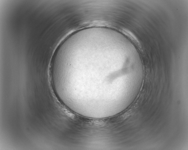 X0000074301190200609222327