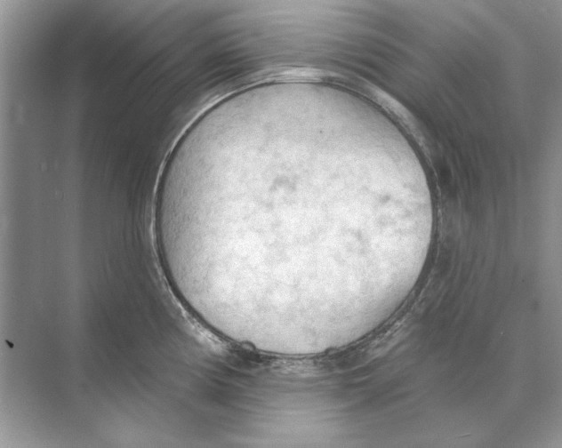 X0000074301194200609222327