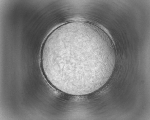 X0000074301195200609222327