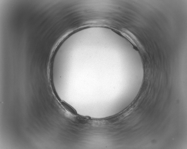 X0000074301196200609222327