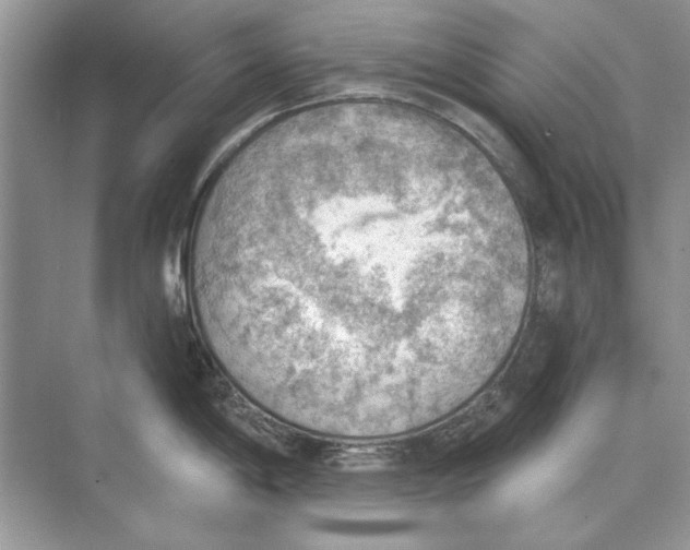 X0000074301198200609222327