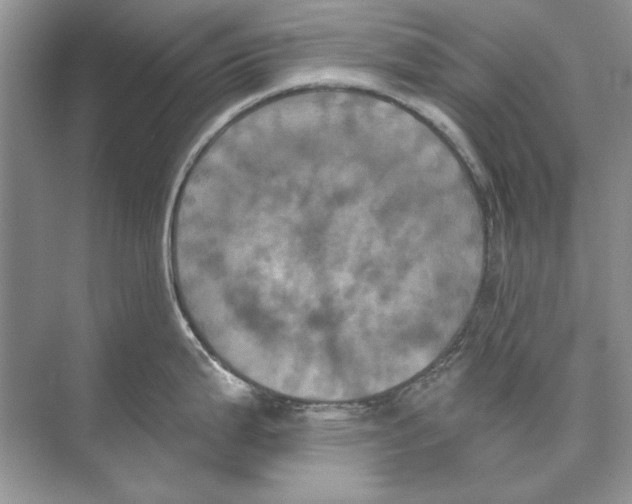 X0000074301199200609222327