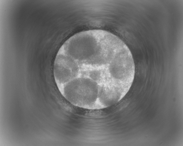 X0000074301201200609222326