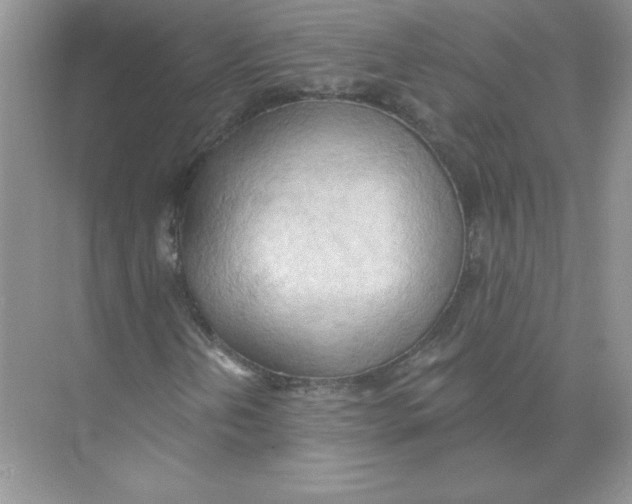 X0000074301202200609222326