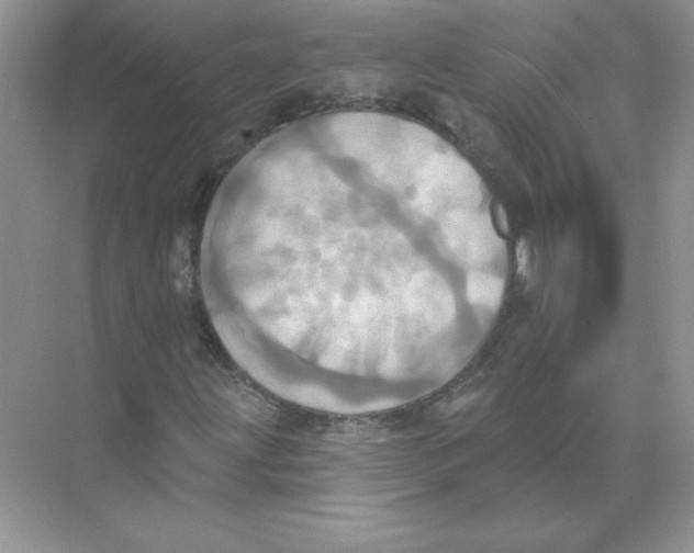 X0000074301203200609222326