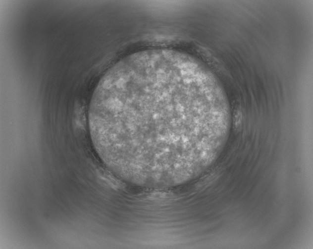 X0000074301204200609222326