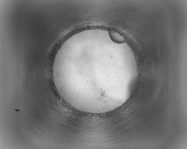 X0000074301207200609222326