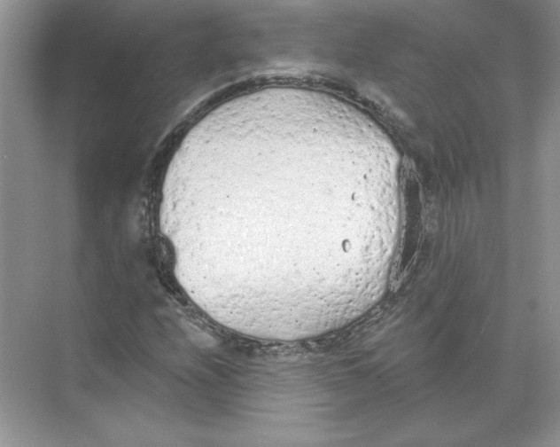 X0000074301208200609222326