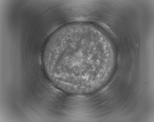 X0000074301209200609222326