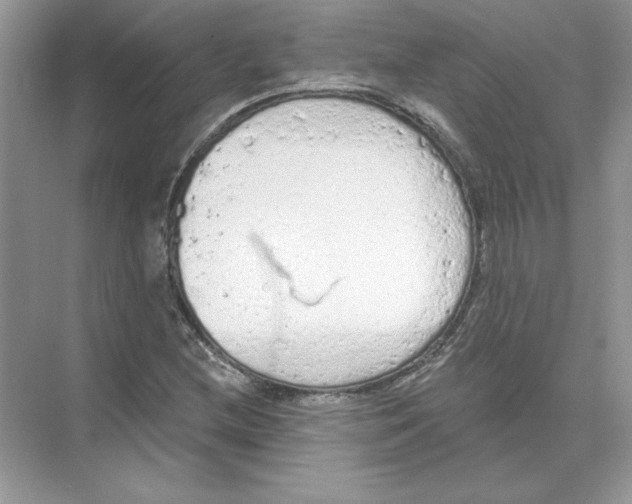 X0000074301212200609222326