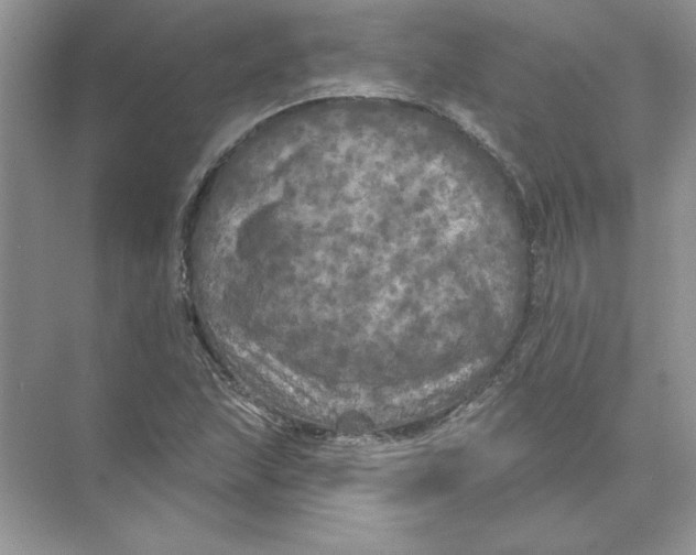 X0000074301215200609222326