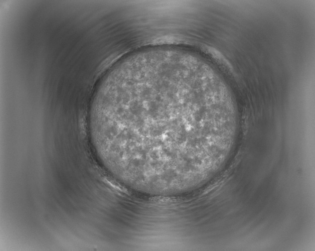 X0000074301217200609222326