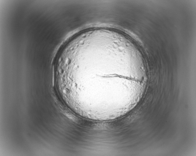 X0000074301223200609222326