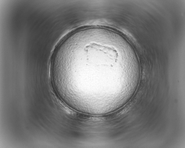 X0000074301224200609222326