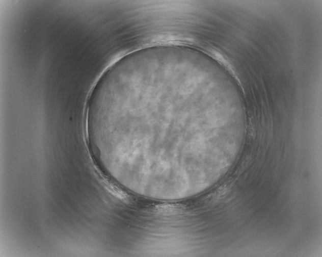 X0000074301227200609222326