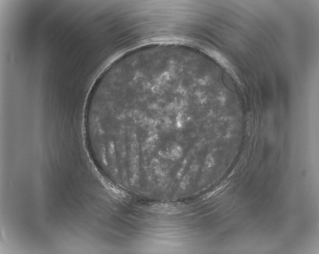 X0000074301229200609222326