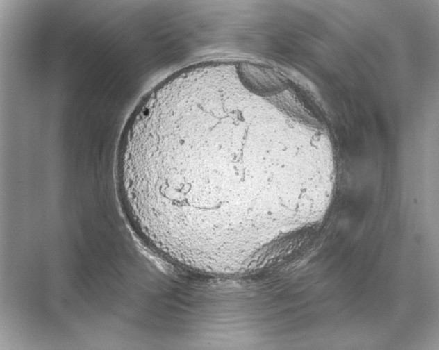 X0000074301231200609222326