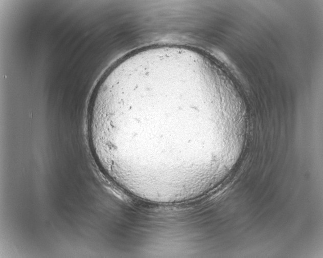 X0000074301232200609222326