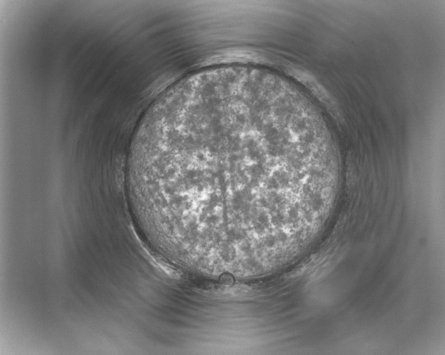 X0000074301233200609222326