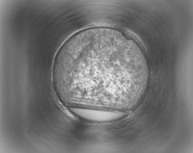 X0000074301236200609222326