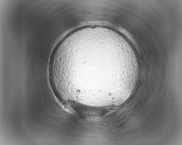 X0000074301237200609222326