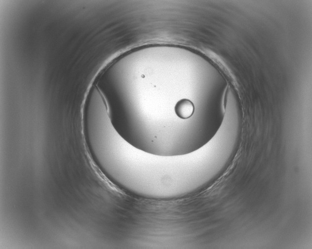 X0000074301238200609222326