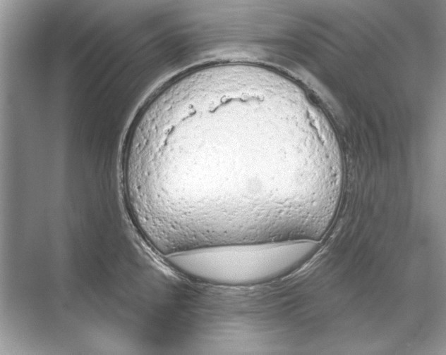 X0000074301240200609222326