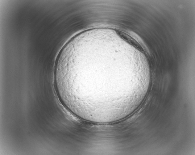 X0000074301244200609222327