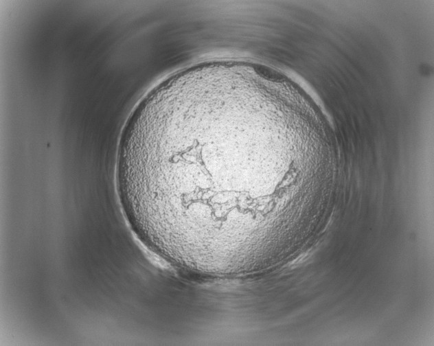 X0000074301245200609222327