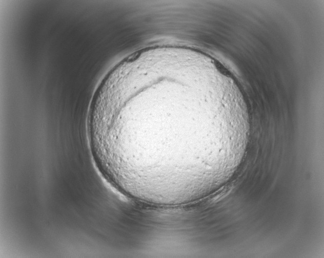 X0000074301247200609222327