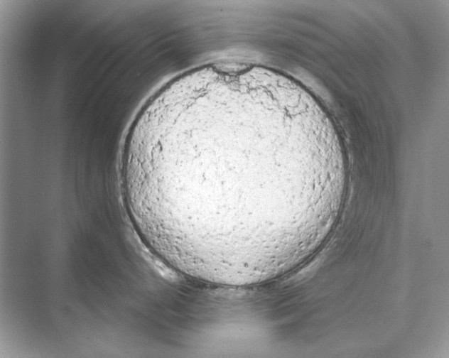 X0000074301248200609222327