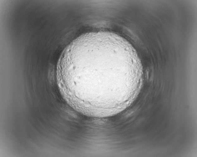 X0000074301251200609222326