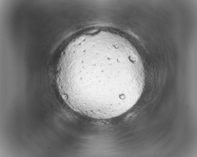 X0000074301255200609222326