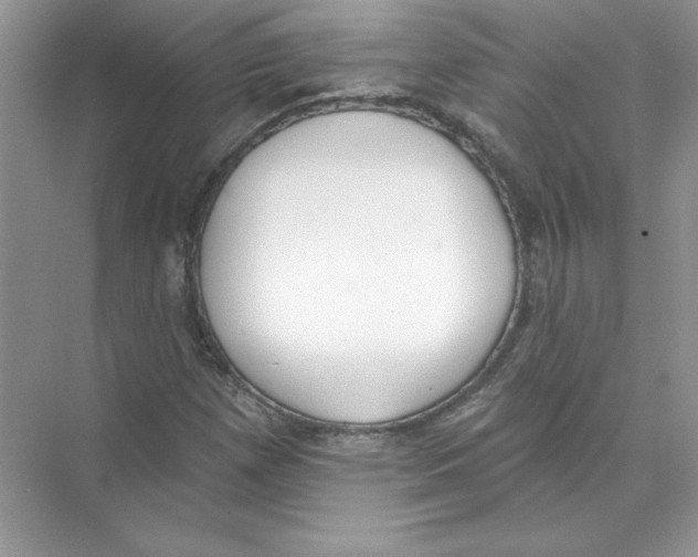 X0000074301257200609222326