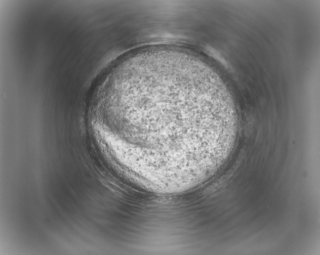 X0000074301259200609222326