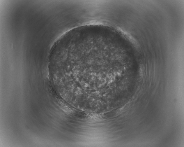 X0000074301262200609222326