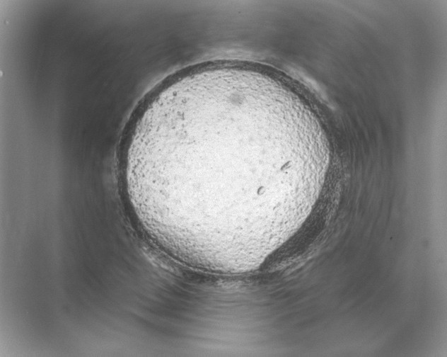 X0000074301264200609222326