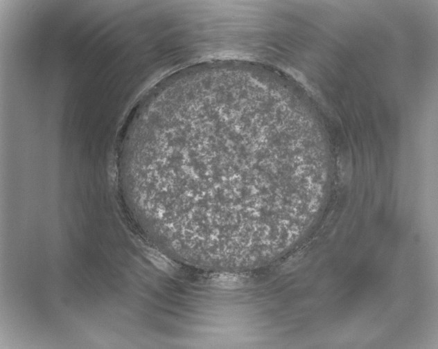 X0000074301266200609222326