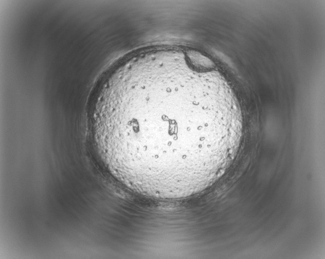 X0000074301267200609222325